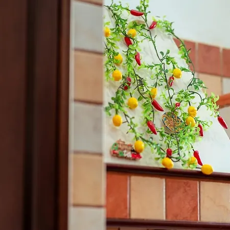 Monserrato House アパート *